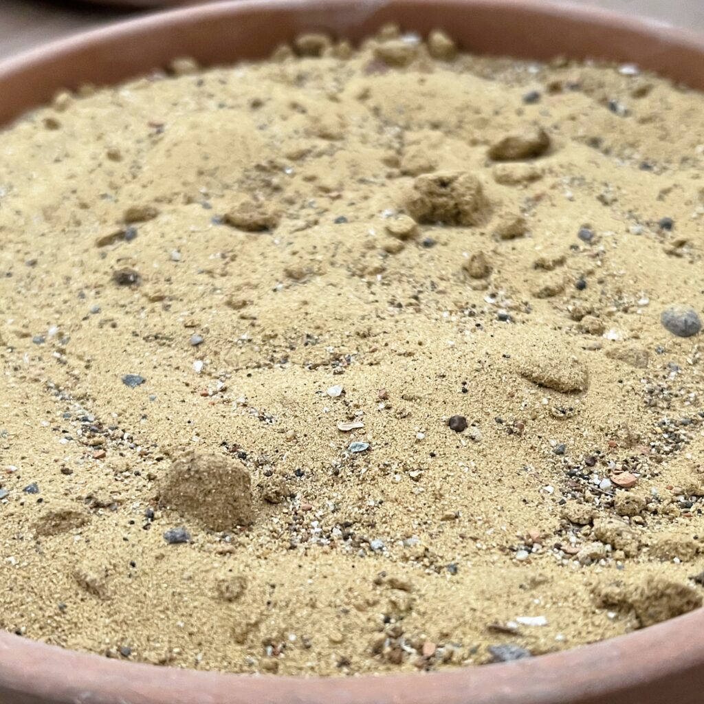 sabbia di campo