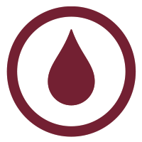 Intonaci deumidificanti